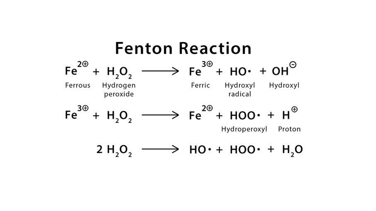 Fenton-Process